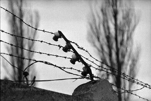 Germania, Dachau- Il recinto del campo.jpg