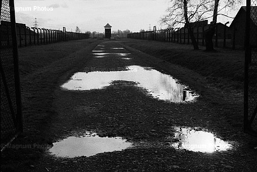 Polonia, Oswiecim. All\\'interno del campo di Birkenau.jpg