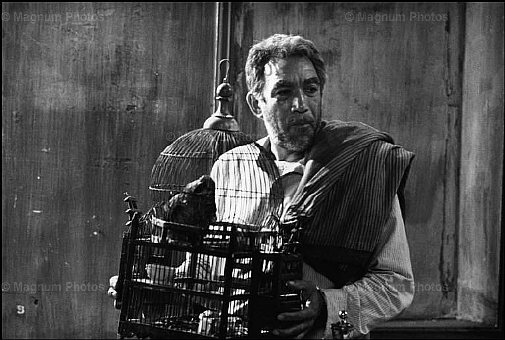 Grecia. Antony Queen sul set del film \\'Zorba il Greco\\' di Cacoyannis -2.jpg