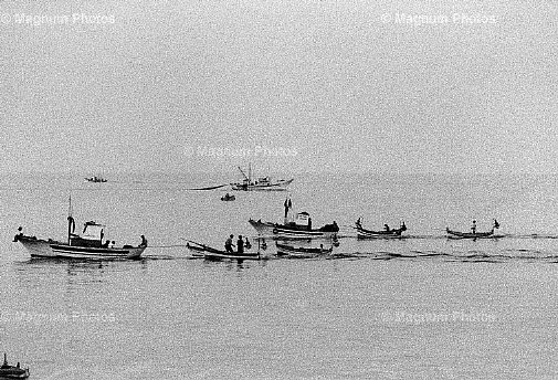 Bagheria. Barche in mare -1.jpg