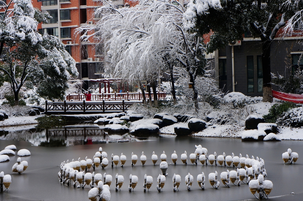 雪精灵聚会.JPG