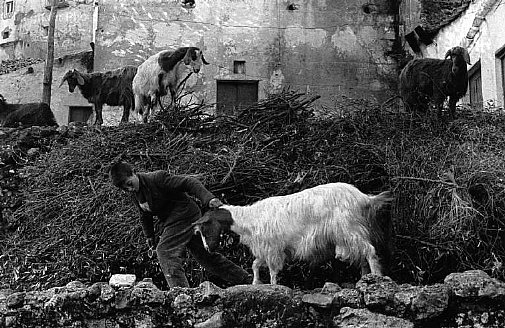 Italia, provincia di Caltanissetta. Riesi.jpg