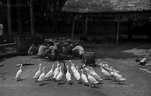 Indonesia, isola di Bali. Ubud.jpg