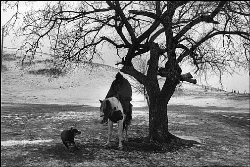 South Dakota, tra le riserve Cheyenne River e Green Grass. Lloyd Jentzen Ranch -1.jpg