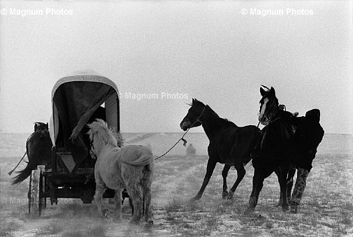 South Dakota, tra le riserve Cheyenne River e Green Grass. Lloyd Jentzen Ranch -4.jpg