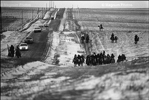 South Dakota, tra le riserve Cheyenne River e Green Grass. Riserva di Green Grass -3.jpg