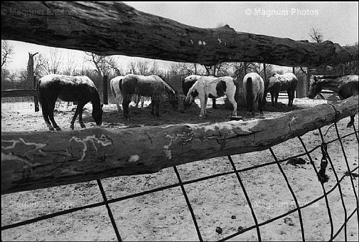 South Dakota, tra Lloyd Jentzen Ranch e Cherry Creek. Cherry Creek -1.jpg