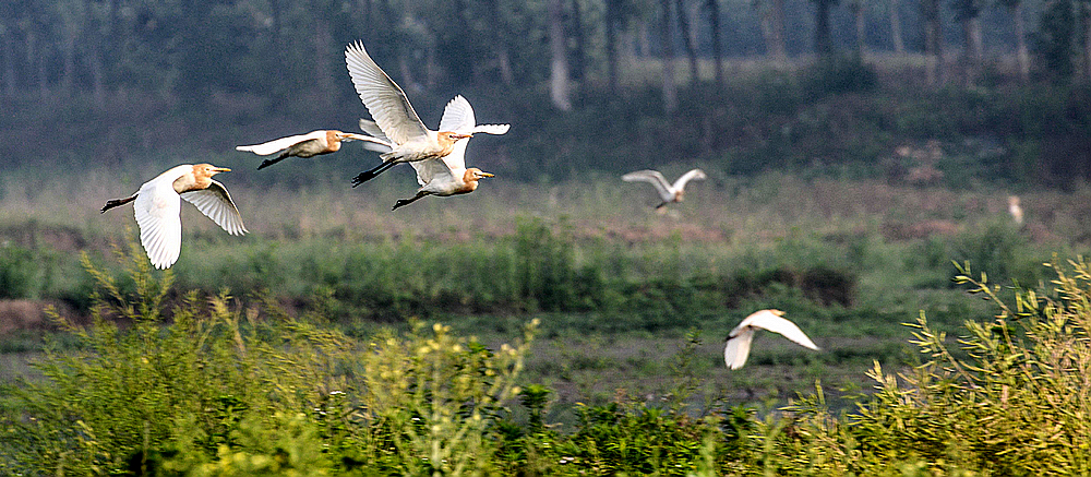 DSC_7865.jpg