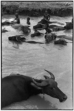 Indonesia, isola di Giava. Villaggio vicino Pati.jpg