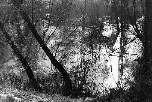 Francia, dipartimento di Loir-et-Cher. Fiume Loira.jpg