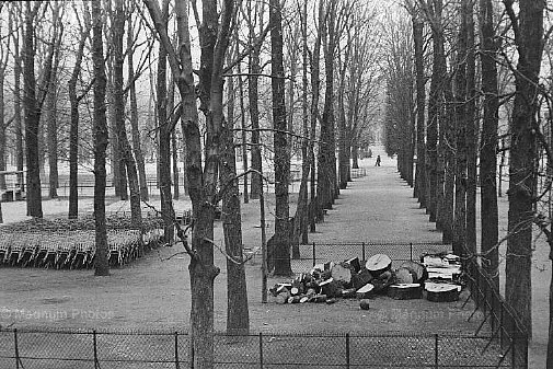 Francia, Parigi. Giardini della Tuileries -2.jpg