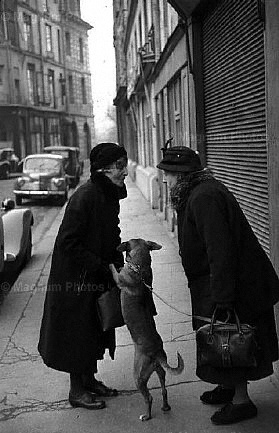 Francia, Parigi. Place Dauphine.jpg