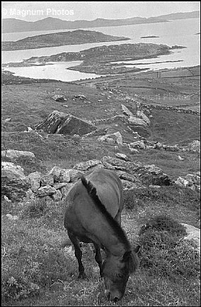 Irlanda, Kerry. Penisola Dingle -1.jpg