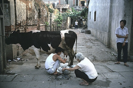 Provincia del Fujian, Quanzhou.jpg