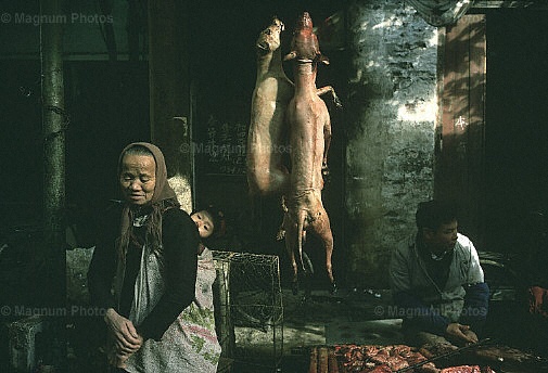 Provincia del Guangdong, Guangzhou. Mercato.jpg