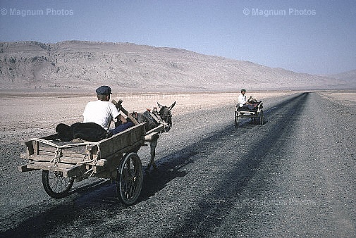 Provincia del Xinjiang, Turpan. Contadino uygur.jpg