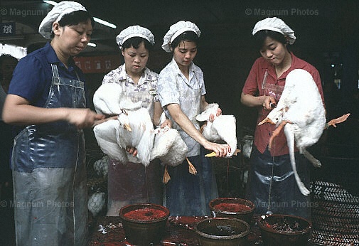 Provincia di Shangai, Shangai. La preparazione del cibo al Mercato Sanjiaodi.jpg