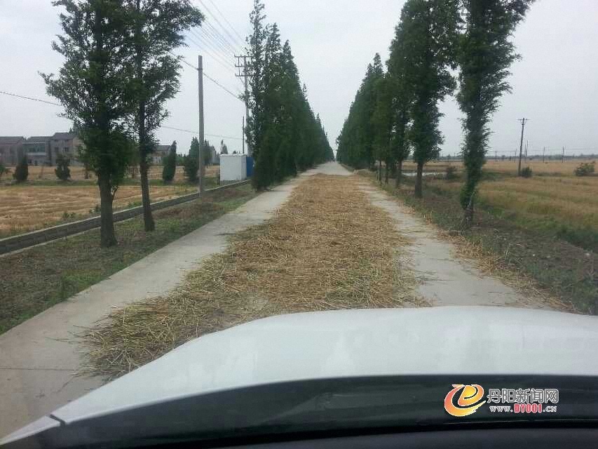 丹烟路.jpg