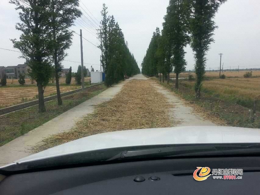 丹延路1.jpg