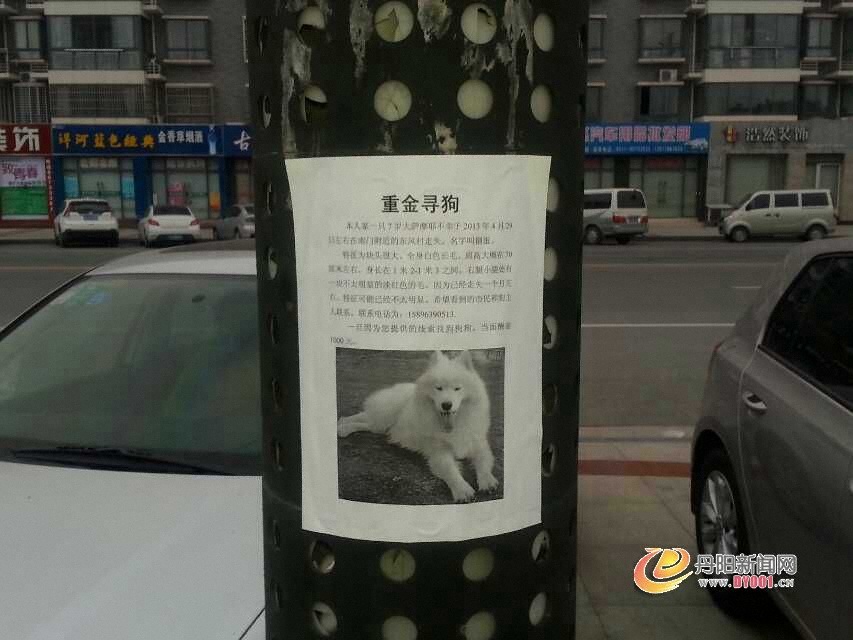 不文明广告.jpg