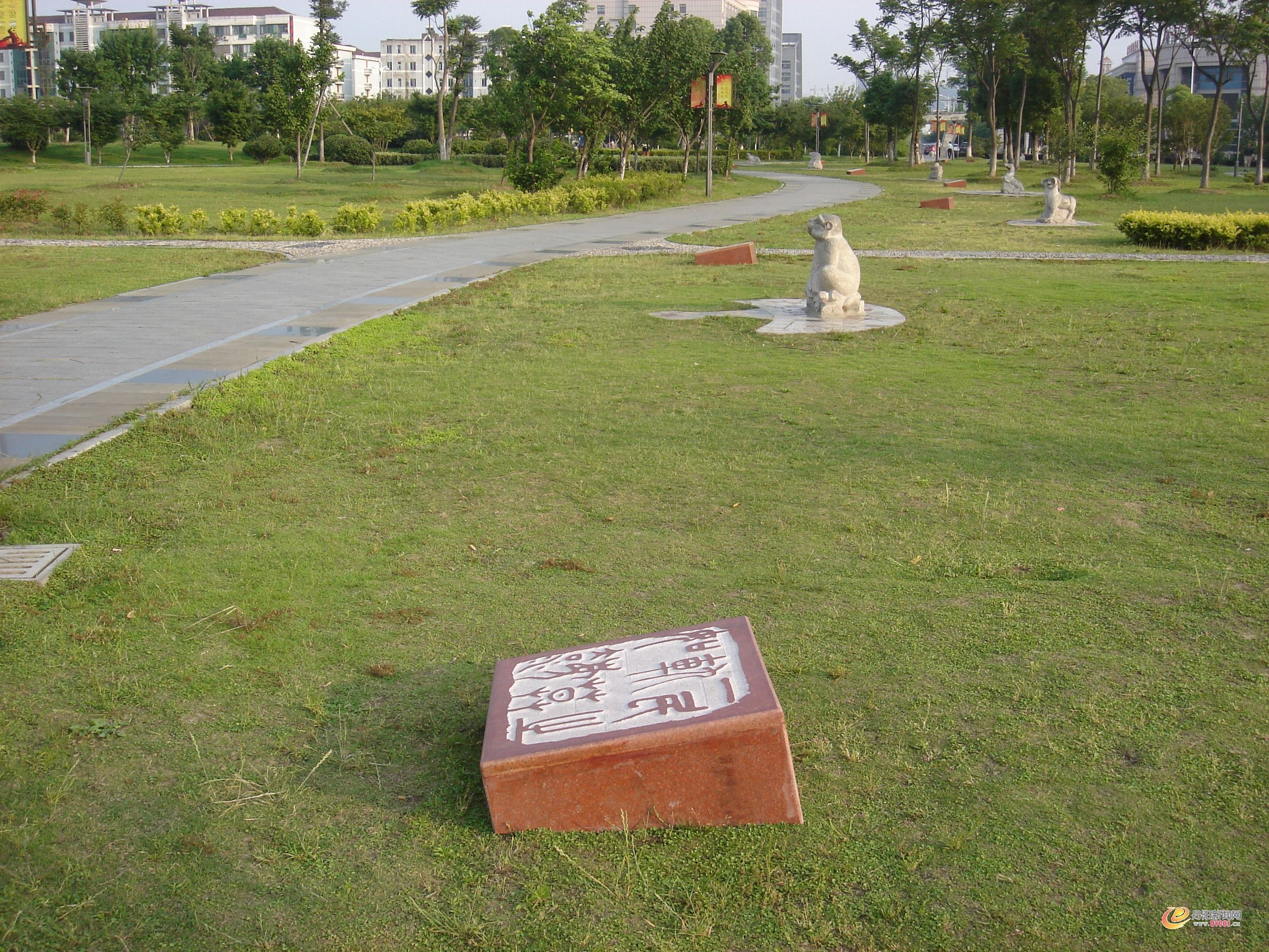 DSC07564.JPG