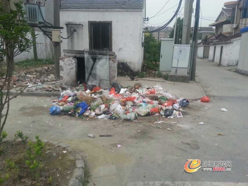 环卫的后果.jpg