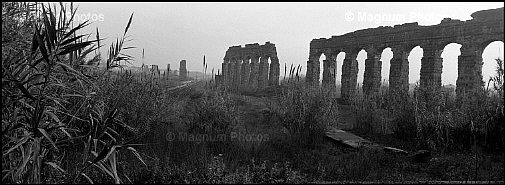 Roma, Acquedotto Claudio.jpg