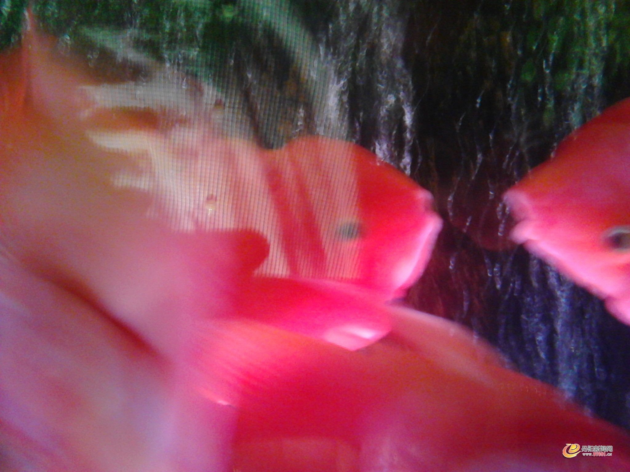 IMG_20130611_182540.jpg