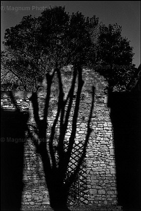 Francia, Regione della Linguadoca. Nimes.jpg