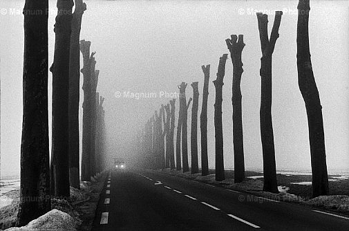 Francia, Regione dell\\'Ile de France. Vicino Parigi.jpg