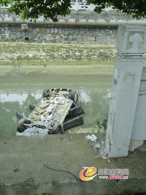 DSC08255.JPG