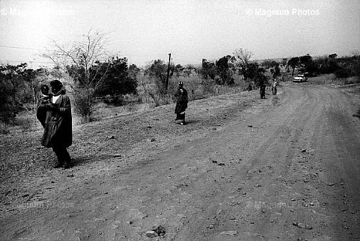 Mali, tra il villaggio di Diouncoulane e la citt_di Kayes.jpg