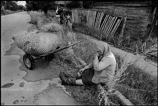 Bielorussia, area di Chernobyl -3.jpg