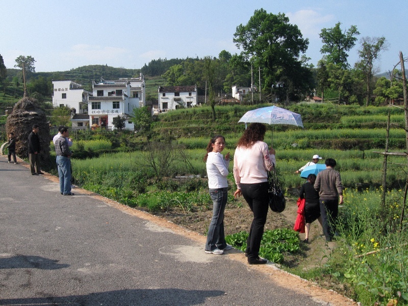 婺源乡村.jpg