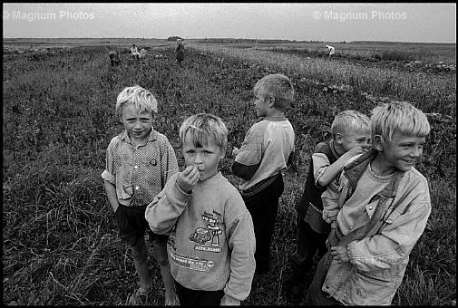 Bielorussia, villaggio di Maisky. Campo di patate -2.jpg