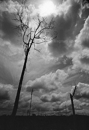 Vietnam, Tay Ninh. Sul confine cambogiano.jpg