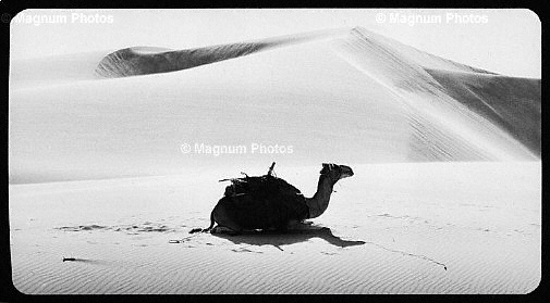 Fotogrammi dal film \\'Deserto, un uomo senza l\\'occidente\\' -25.jpg