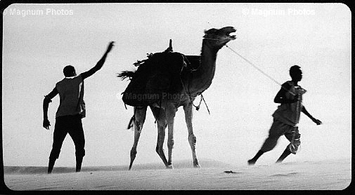 Fotogrammi dal film \\'Deserto, un uomo senza l\\'occidente\\' -26.jpg