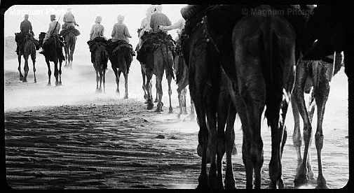 Fotogrammi dal film \\'Deserto, un uomo senza l\\'occidente\\' -40.jpg