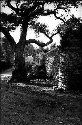 Etiopia, provincia di Harar.jpg