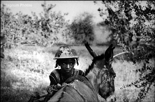 Niger, vicino Tahoua. Trib_Bororos -3.jpg