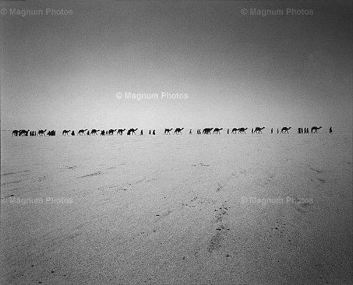 Niger. Deserto del T俷俽_-2.jpg