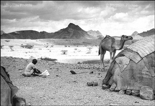 Repubblica del Djibouti, Afars -2.jpg