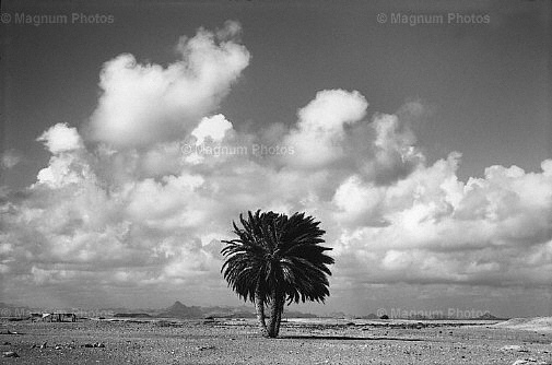 Repubblica del Djibouti, Moulhoul_-1.jpg