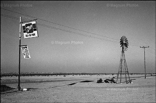 Stati Uniti, California. Deserto del Mohave.jpg