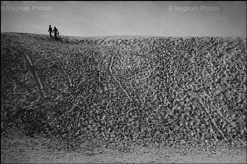 Stati Uniti, New Mexico. White Sand.jpg