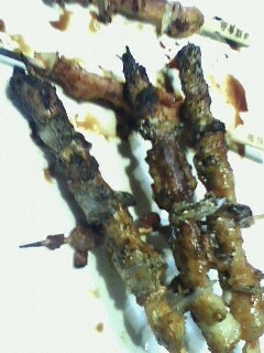 1307063240.jpg