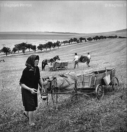 Romania. Sulla strada per Sulina -2.jpg