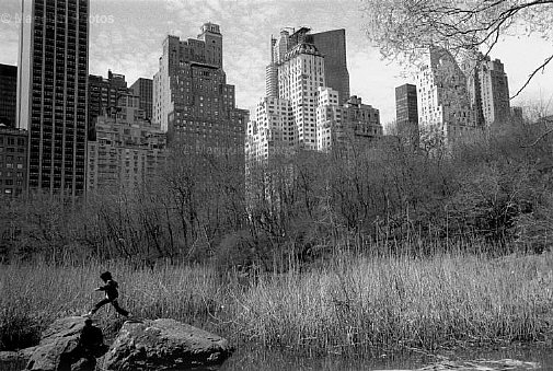 Stati Uniti, New York. Central Park -1.jpg