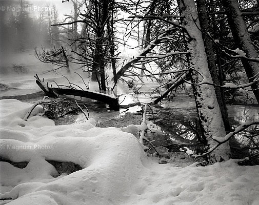 Stati Uniti, Yellowstone National Park. Inverno.jpg